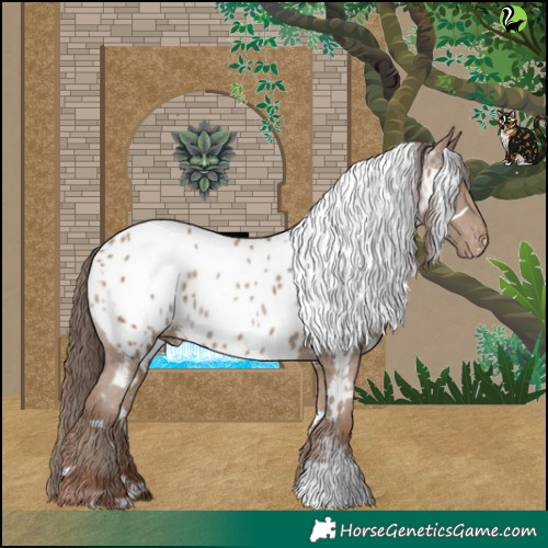 Horse Color:White Spotted Classic Champagne Appaloosa Rabicano 