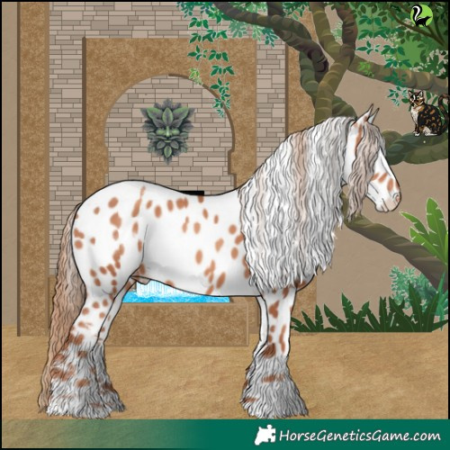 Horse Color:White Spotted Gold Champagne Appaloosa 