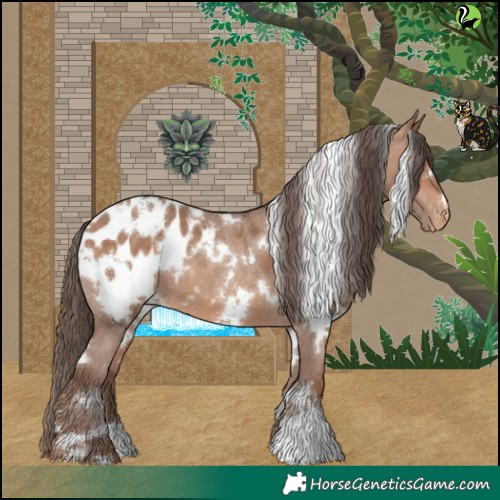 Horse Color:White Spotted Sable Champagne Appaloosa 