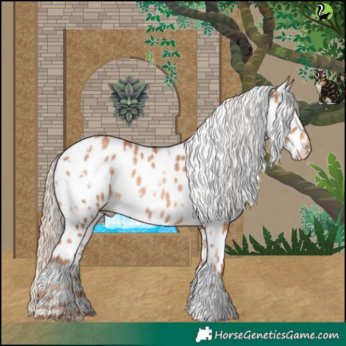 Horse Color:White Spotted Gold Champagne Appaloosa Rabicano 