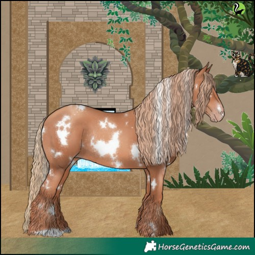 Horse Color:White Spotted Gold Champagne Rabicano 