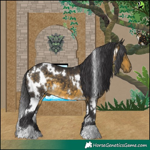 Horse Color:White Spotted Buckskin 