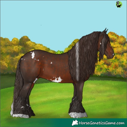 Horse Color:White Spotted Liver Chestnut 