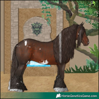 Horse Color:White Spotted Liver Chestnut 