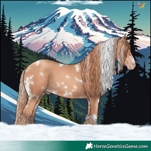 Horse Color:White Spotted Gold Champagne 