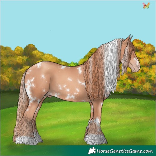 Horse Color:White Spotted Gold Champagne 