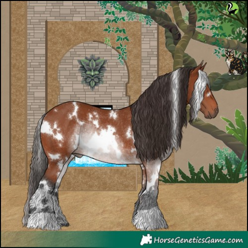 Horse Color:White Spotted Bay Rabicano 