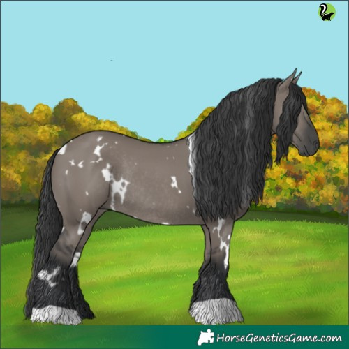 Horse Color:White Spotted Grullo Rabicano 