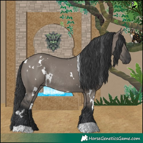 Horse Color:White Spotted Grullo Rabicano 