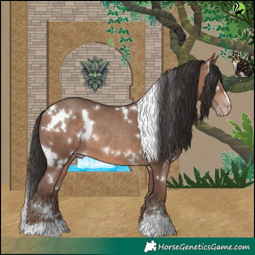 Horse Color:White Spotted Sable Champagne 