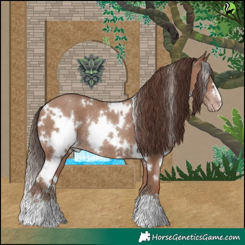 Horse Color:White Spotted Classic Champagne Rabicano 