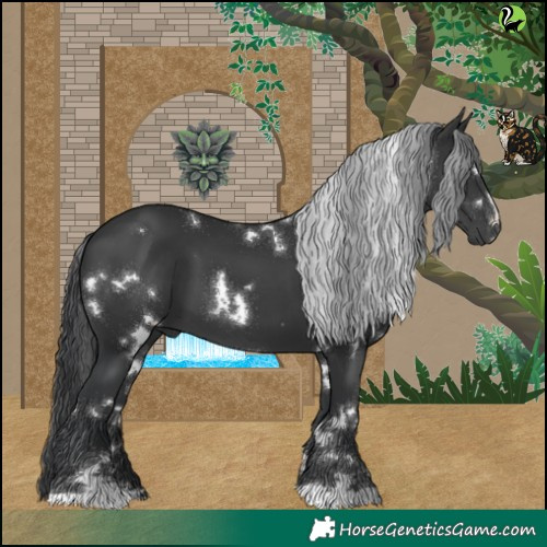 Horse Color:White Spotted Black 