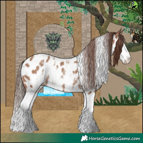 Horse Color:White Spotted Classic Champagne Splash Appaloosa 