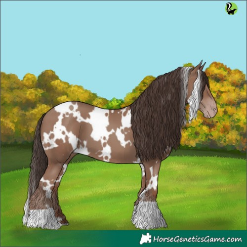 Horse Color:White Spotted Classic Champagne 