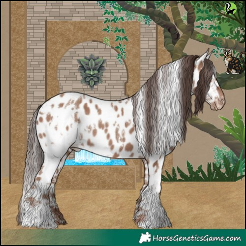 Horse Color:White Spotted Classic Champagne Appaloosa 