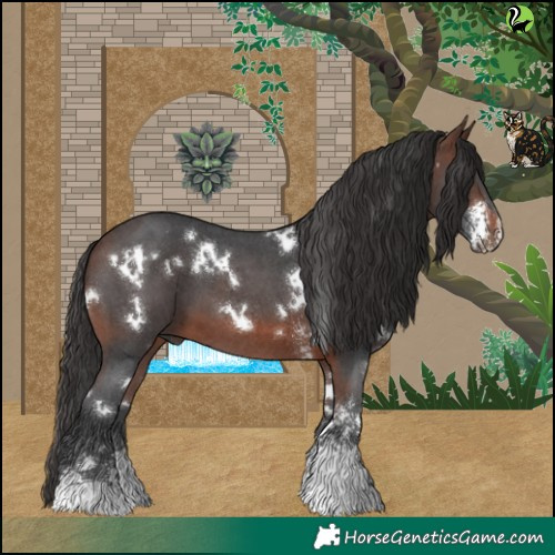 Horse Color:White Spotted Brown Sabino 