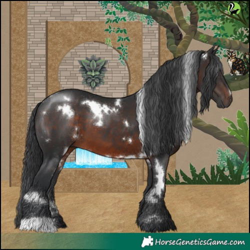 Horse Color:White Spotted Brown 