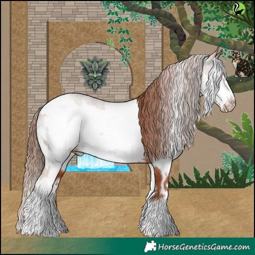 Horse Color:White Spotted Chestnut Frame Rabicano 