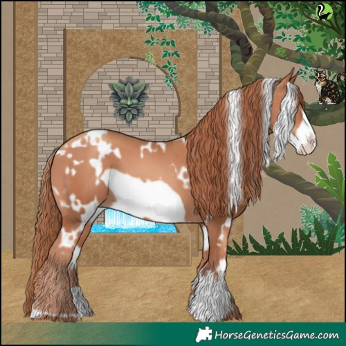 Horse Color:White Spotted Gold Champagne Frame 
