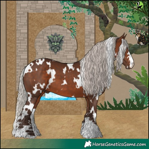 Horse Color:White Spotted Silver Brown 