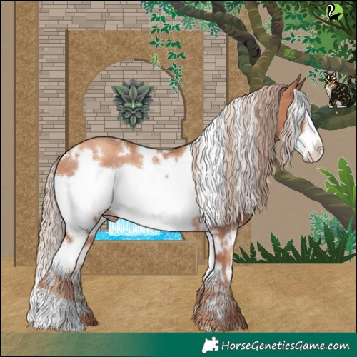 Horse Color:White Spotted Gold Champagne Frame Rabicano 