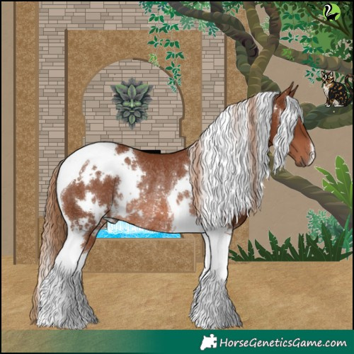 Horse Color:White Spotted Chestnut Tobiano Rabicano 