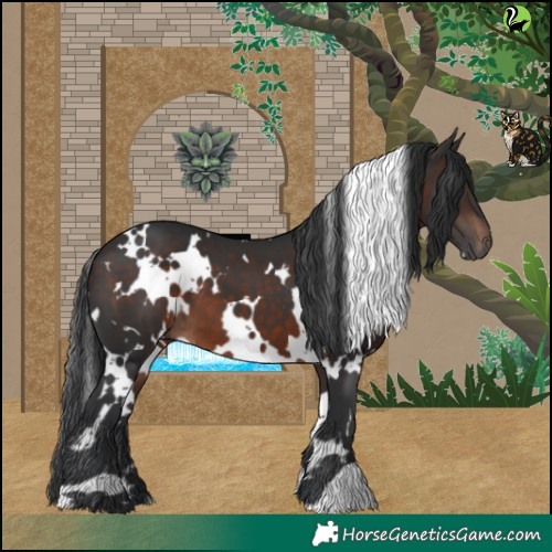 Horse Color:White Spotted Brown 