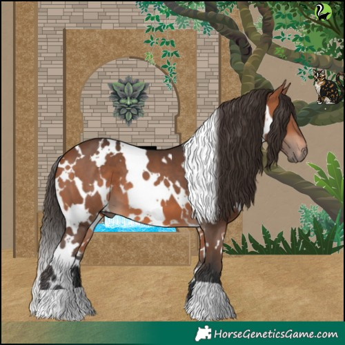 Horse Color:White Spotted Bay 