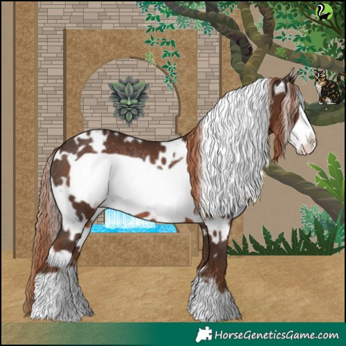 Horse Color:White Spotted Liver Chestnut Frame Rabicano 