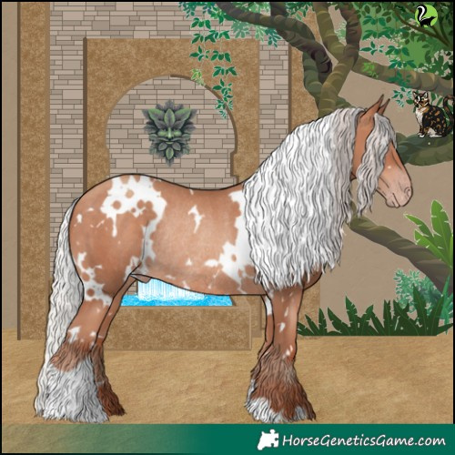 Horse Color:White Spotted Silver Sable Champagne Rabicano 