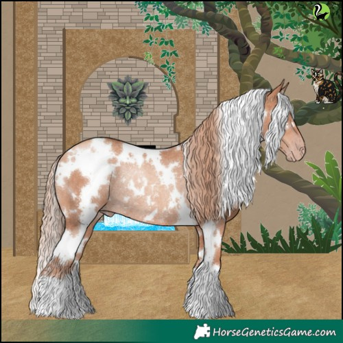 Horse Color:White Spotted Gold Champagne Rabicano 