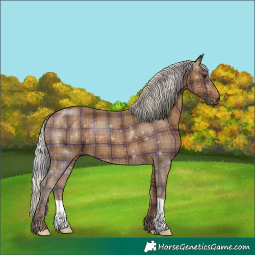 Horse Color:Plaid  Silver Bay 