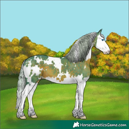 Horse Color:Watercolor White Spotted Silver Brown Splash 