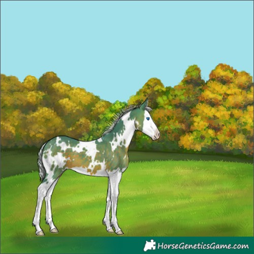 Horse Color:Watercolor White Spotted Silver Brown Splash 