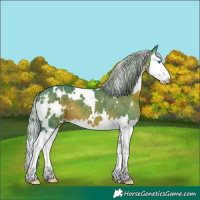Horse Color:Watercolor White Spotted Silver Brown Splash
