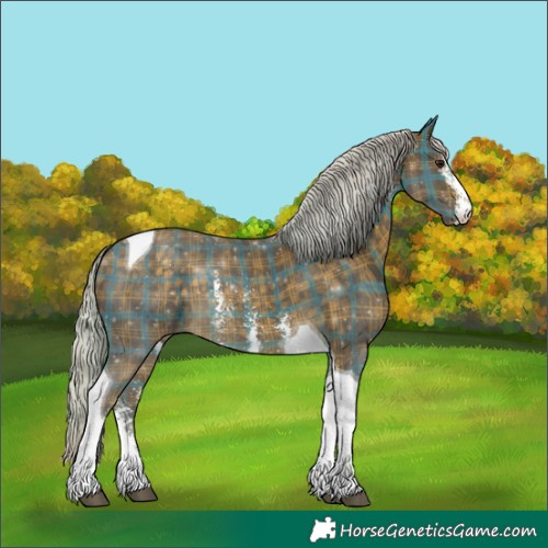 Horse Color:Plaid  Silver Buckskin Sabino Tobiano 