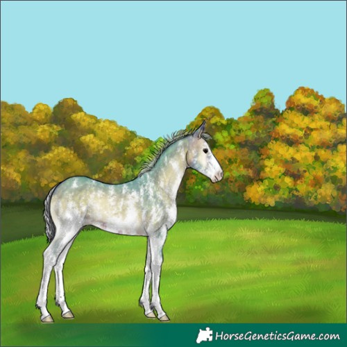 Horse Color:Watercolor Silver Brown Onyx Sabino 