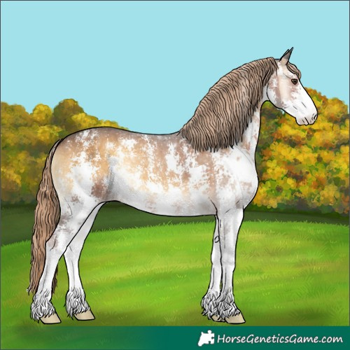 Horse Color:Chocolate Palomino Onyx Sabino 