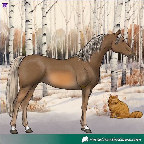 Horse Color:Chocolate Palomino 