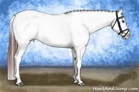 Horse Color:Bay Tobiano Snowcap