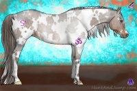 Horse Color:White Spotted Liver Chestnut 