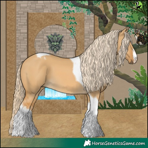 Horse Color:White Spotted Palomino Dun Tobiano 