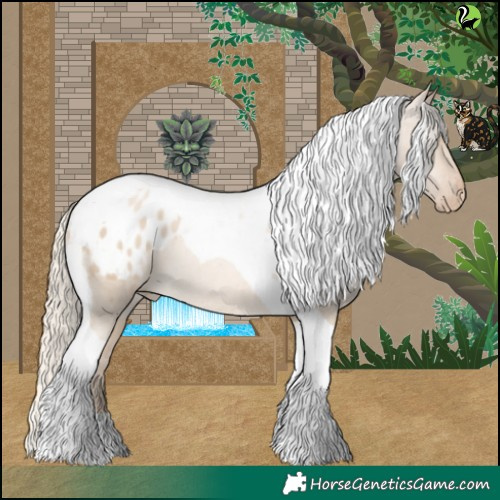 Horse Color:Chocolate Palomino Pearl Dun Tobiano Appaloosa 