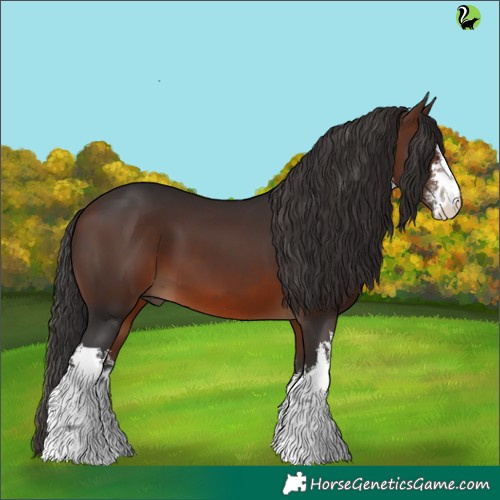 Horse Color:White Spotted Brown