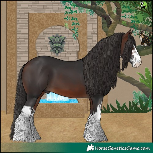 Horse Color:White Spotted Brown 