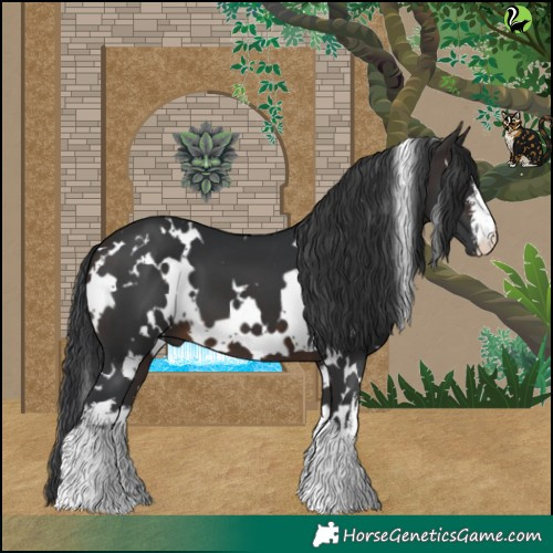 Horse Color:White Spotted Brown 