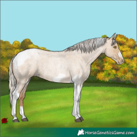 Horse Color:Silver Grullo Roan Pearl Tobiano Frame 