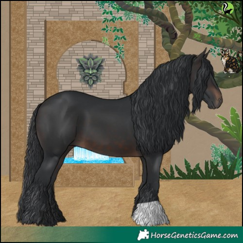 Horse Color:Brown 
