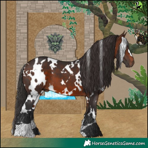 Horse Color:White Spotted Brown 