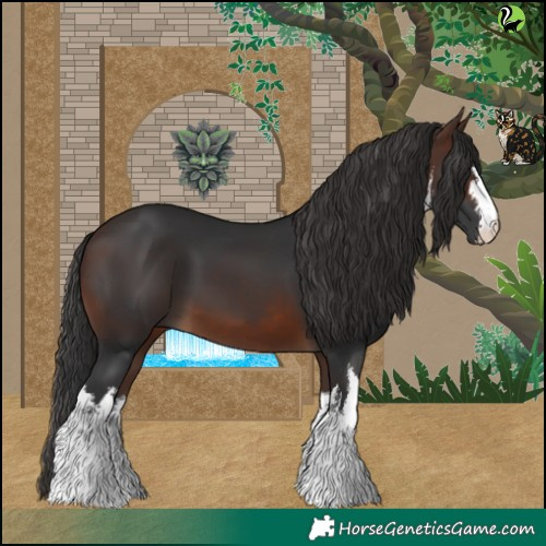 Horse Color:White Spotted Brown 